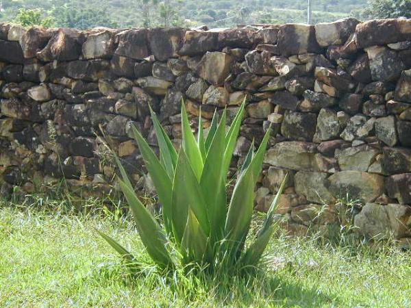Paralelepípedos - ECOPISOS PAVIMENTAÇÃO ECOLÓGICA Paralelepípedo, Folheta, Pedra para Muro Paralelepípedos - ECOPISOS PAVIMENTAÇÃO ECOLÓGICA Paralelepípedo, Folheta, Pedra para Muro